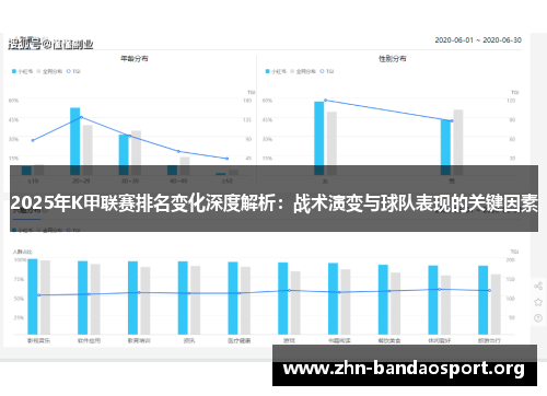 2025年K甲联赛排名变化深度解析:战术演变与球队表现的关键因素 2025年K甲联赛排名变化深度解析:战术演变与球队表现的关键因素
