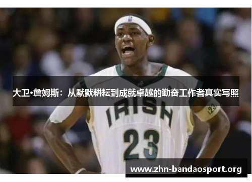 大卫·詹姆斯:从默默耕耘到成就卓越的勤奋工作者真实写照 大卫·詹姆斯:从默默耕耘到成就卓越的勤奋工作者真实写照