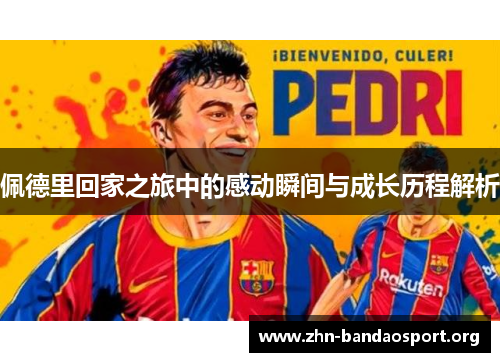 佩德里回家之旅中的感动瞬间与成长历程解析 佩德里回家之旅中的感动瞬间与成长历程解析
