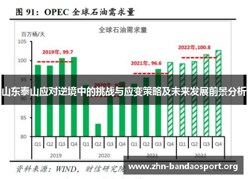山东泰山应对逆境中的挑战与应变策略及未来发展前景分析 山东泰山应对逆境中的挑战与应变策略及未来发展前景分析