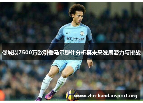 曼城以7500万欧引援马尔穆什分析其未来发展潜力与挑战 曼城以7500万欧引援马尔穆什分析其未来发展潜力与挑战