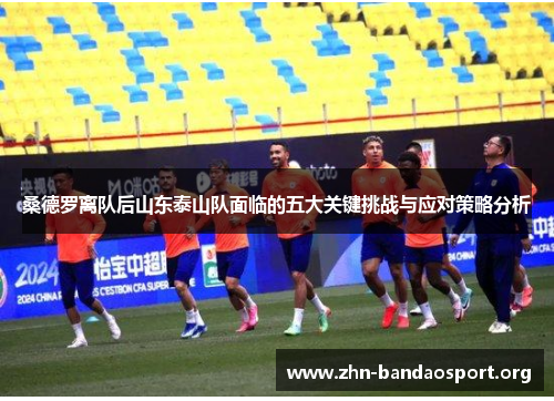 桑德罗离队后山东泰山队面临的五大关键挑战与应对策略分析