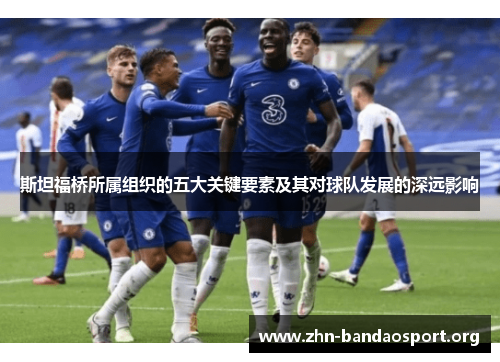 斯坦福桥所属组织的五大关键要素及其对球队发展的深远影响 斯坦福桥所属组织的五大关键要素及其对球队发展的深远影响