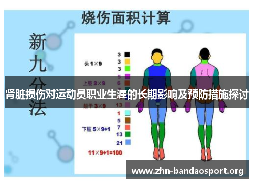肾脏损伤对运动员职业生涯的长期影响及预防措施探讨 肾脏损伤对运动员职业生涯的长期影响及预防措施探讨