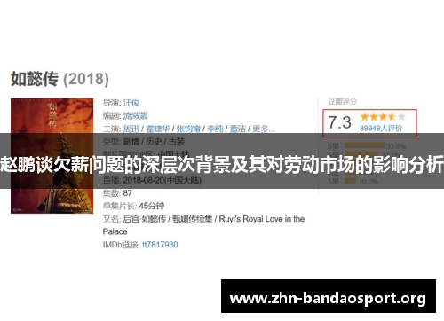 赵鹏谈欠薪问题的深层次背景及其对劳动市场的影响分析